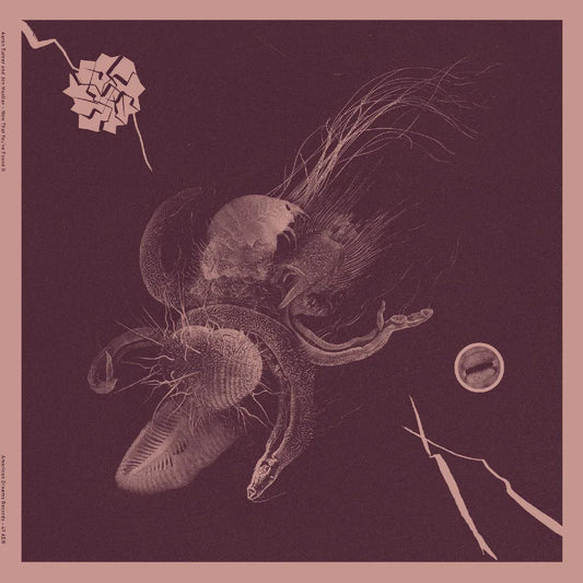 Aaron Turner & Jon Mueller - Now That You've Found It (LP) - Joco Records