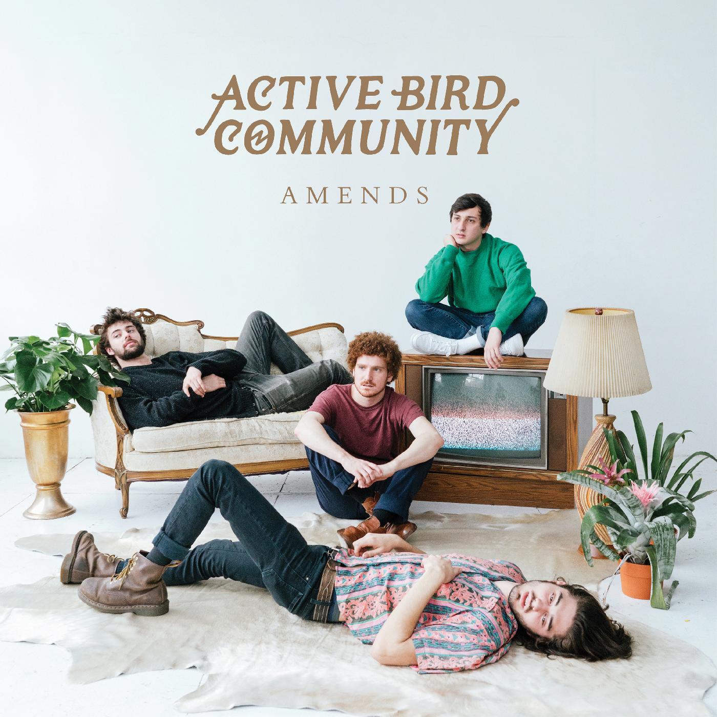 Active Bird Community - Amends (LP) - Joco Records