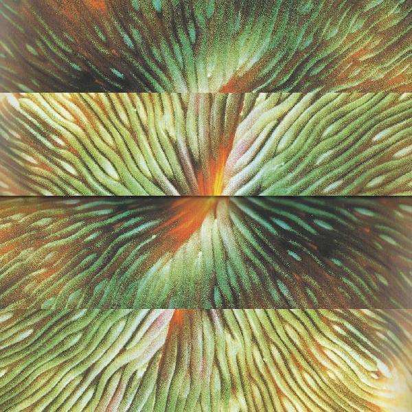 Active Surplus - Mirroring (LP) - Joco Records