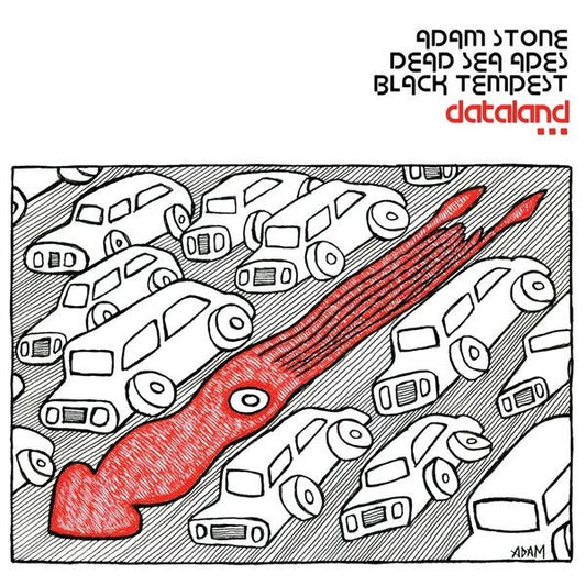 Adam Stone/Dead Sea Apes/Black Tempest - Dataland (LP) - Joco Records