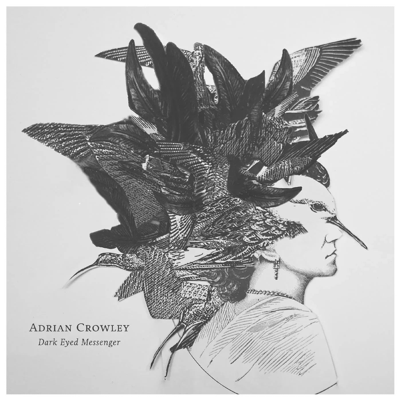Adrian Crowley - Dark Eyed Messenger (LP) - Joco Records