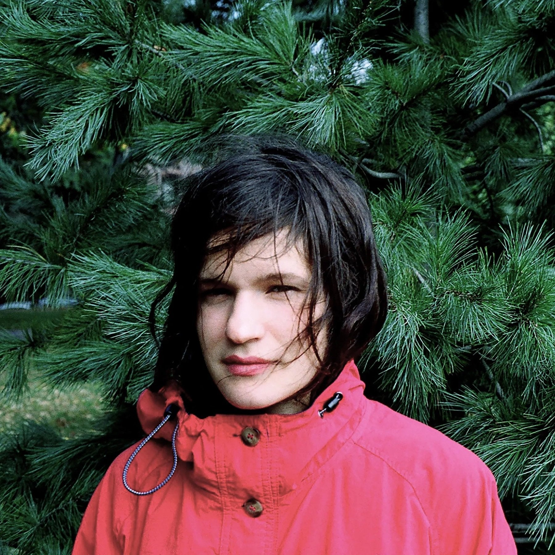 Adrianne Lenker - Hours Were the Birds (LP) - Joco Records