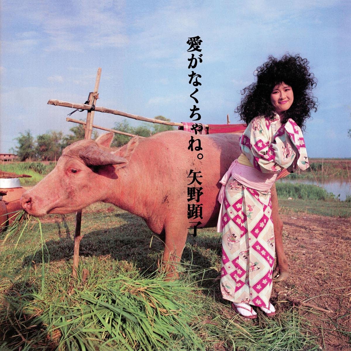 Akiko Yano - Ai Ga Nakucha Ne (Import) (LP)