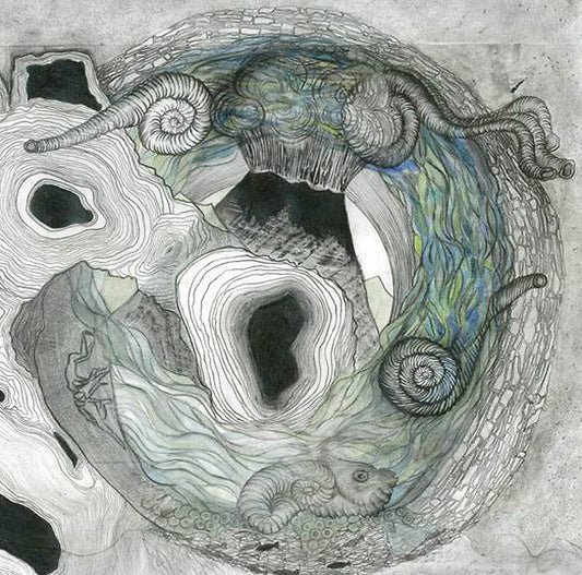 Aine O'dwyer - Gallarais (LP) - Joco Records