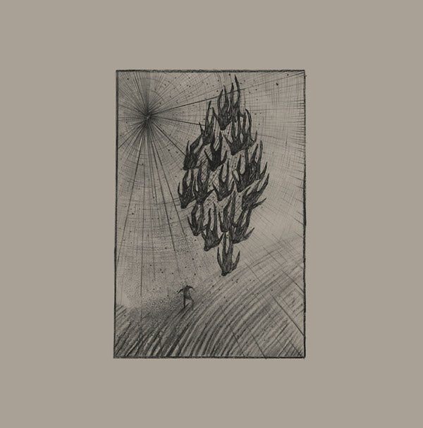 Aine O'dwyer - Locusts (LP) - Joco Records
