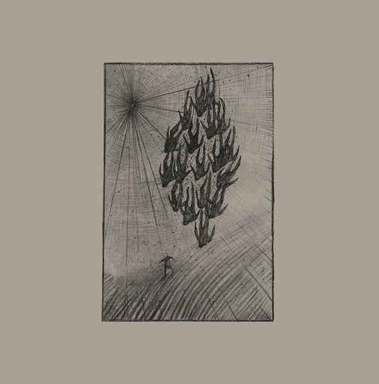Aine O'dwyer - Locusts (LP) - Joco Records