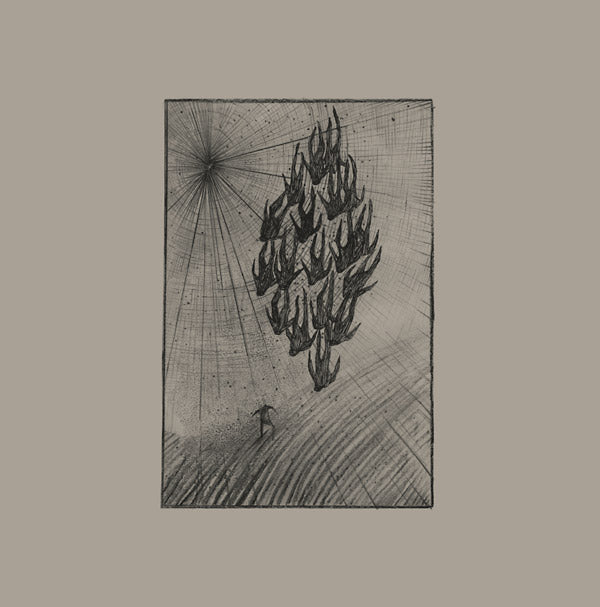 AINE O'DWYER - Locusts