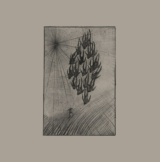 AINE O'DWYER - Locusts
