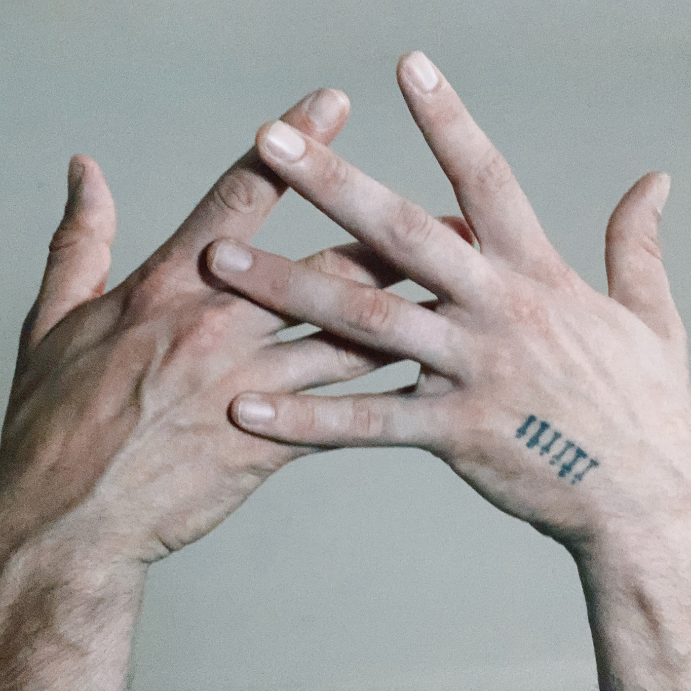 Alabaster DePlume - A Blade Because A Blade Is Whole (That Was My Garden Vinyl)