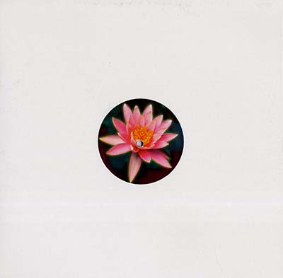 Alexander Roland - Balungan (12 - Inch Vinyl) - Joco Records