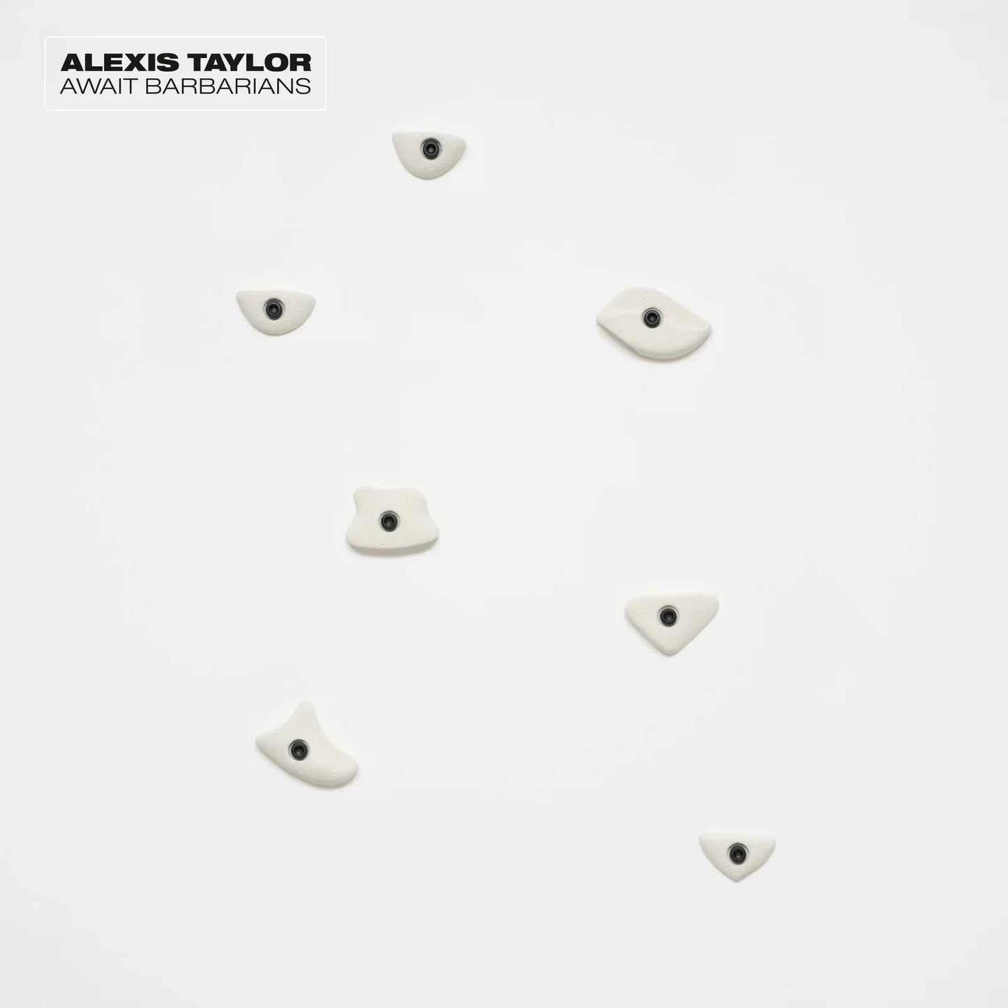 Alexis Taylor - Await Barbarians (LP) - Joco Records