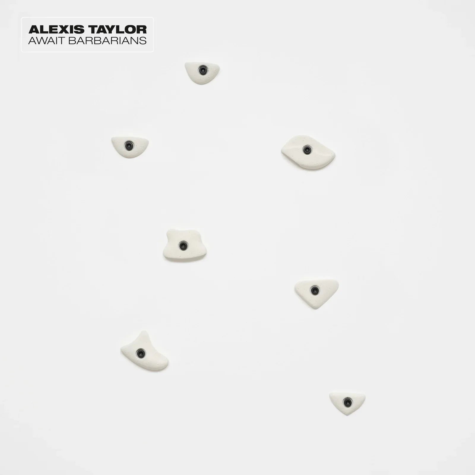 Alexis Taylor - Await Barbarians (LP) - Joco Records