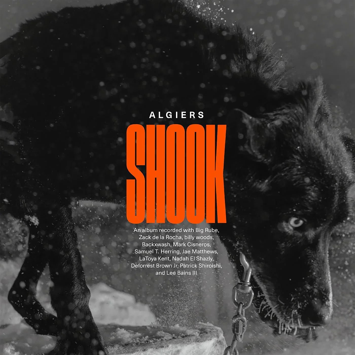 Algiers - Shook (2 LP) - Joco Records
