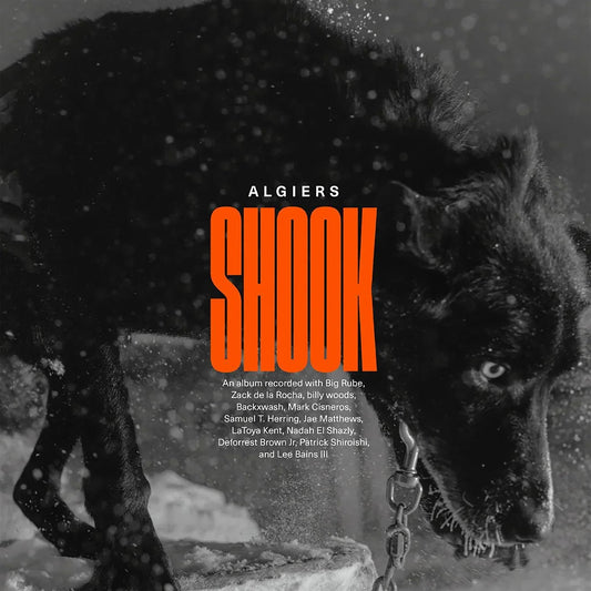 Algiers - Shook (2 LP) - Joco Records