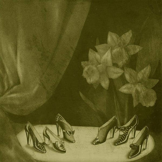 Alice Cohen - Into The Grey Salons (LP) - Joco Records