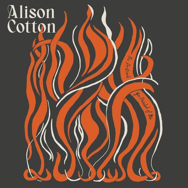Alison Cotton - The Portrait You Painted Of Me (LP) - Joco Records