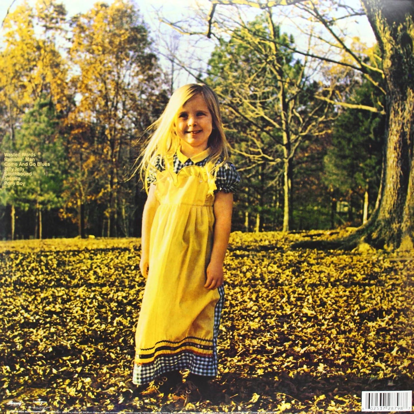 Allman Brothers Band - Brothers And Sisters (Gatefold, Remastered) (LP) - Joco Records