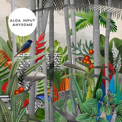 Aloa Input - Anysome (LP) - Joco Records
