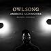 Ambrose Akinmusire - Owl Song