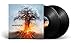 Amorphis - Skyforger (Vinyl) - Joco Records