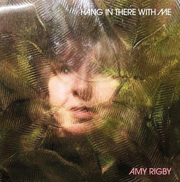 Amy Rigby - Hang In There With Me (LP) - Joco Records