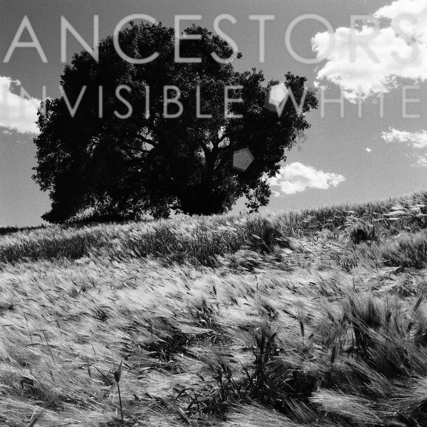 Ancestors - Invisible White (Opaque Gray Vinyl) (Vinyl EP) - Joco Records