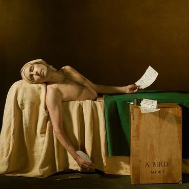 Andrew Bird - My Finest Work Yet (Gold Vinyl) (2 LP) - Joco Records