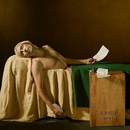 Andrew Bird - My Finest Work Yet (LP) - Joco Records