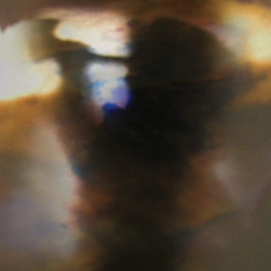 Animal Collective - Fall Be Kind (12-Inch Vinyl EP) - Joco Records