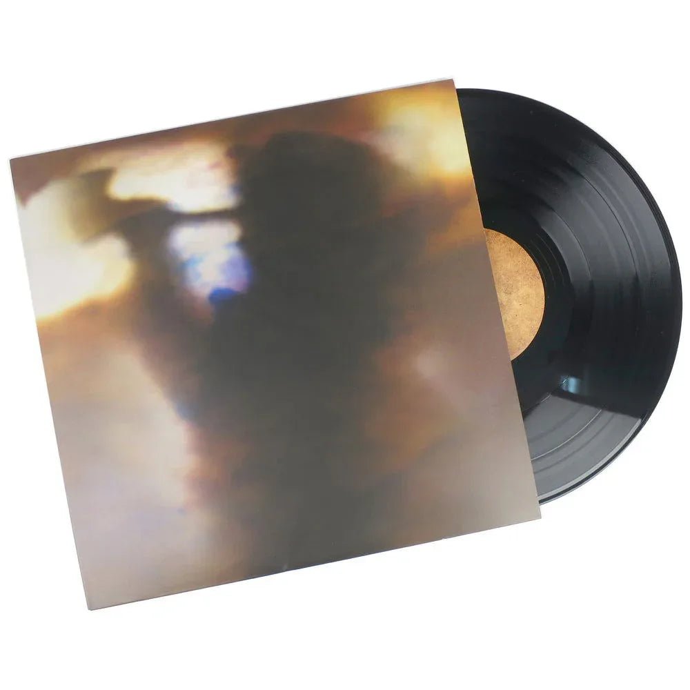 Animal Collective - Fall Be Kind (12-Inch Vinyl EP) - Joco Records