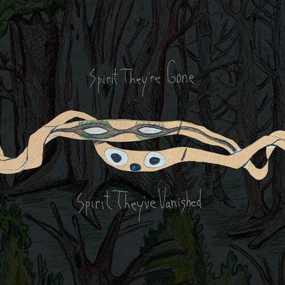Animal Collective - Spirit They're Gone, Spirit They've Vanished (Indie Exclusive, Remastered, Green Vinyl) (LP) - Joco Records