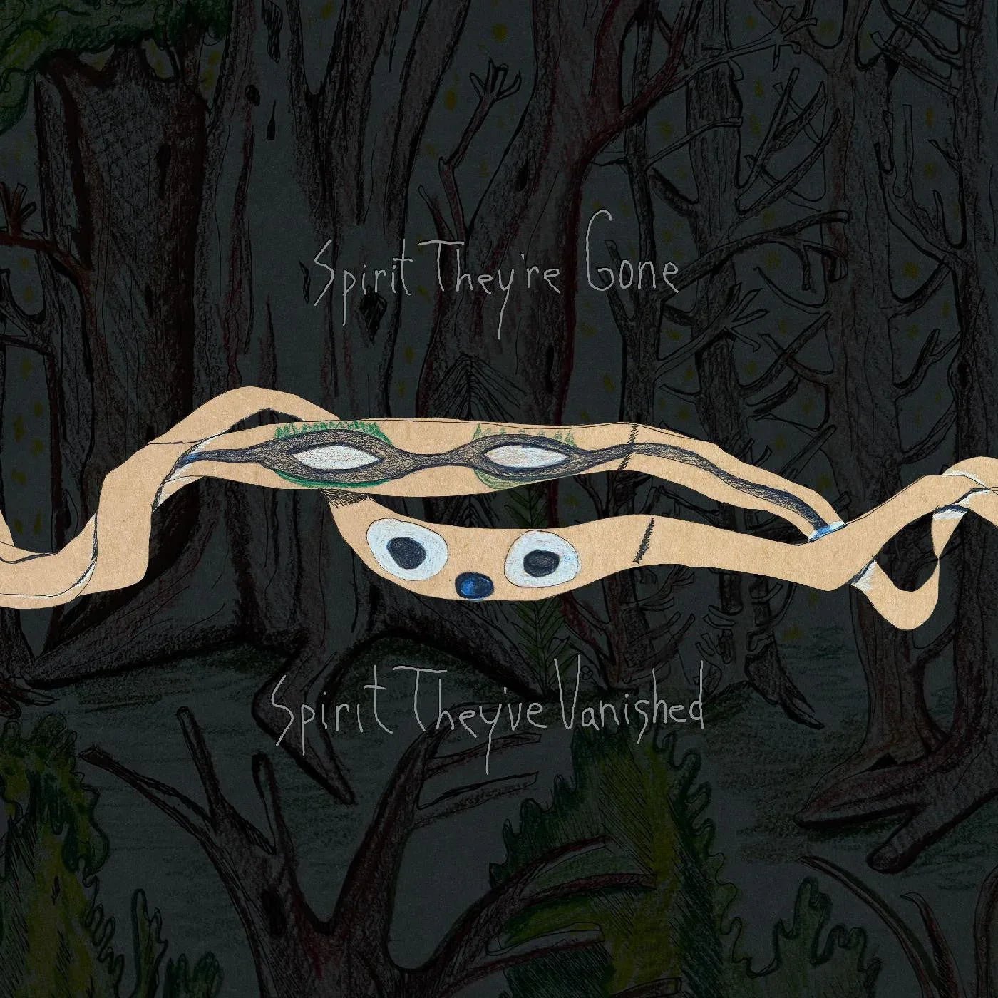 Animal Collective - Spirit They're Gone, Spirit They've Vanished (Remastered 2023) (2 LP) - Joco Records