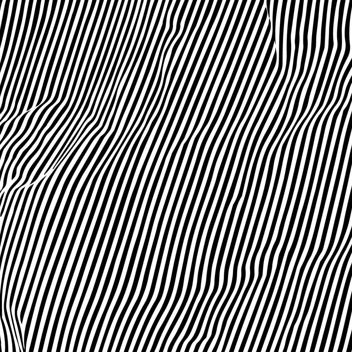 Animal Hospital - Fatique (Vinyl) - Joco Records