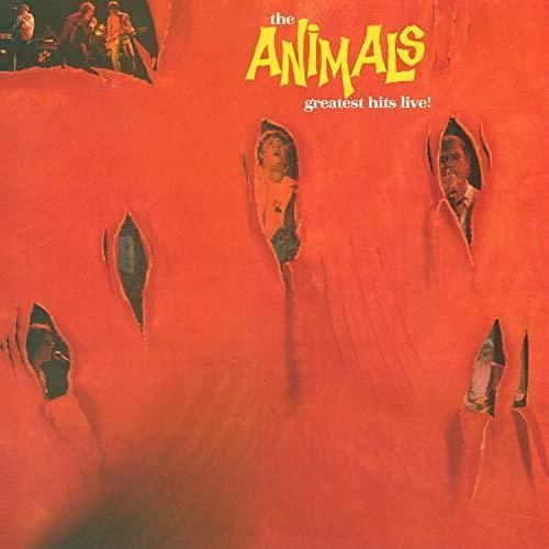 Animals - Greatest Hits Live (LP) - Joco Records