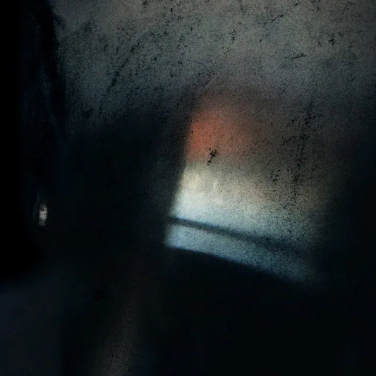 ANNE GUTHRIE - Brass Orchids