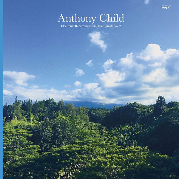 Anthony Child - Electronic Recordings From Maui Jungle Vol. 2 (2 LP) - Joco Records