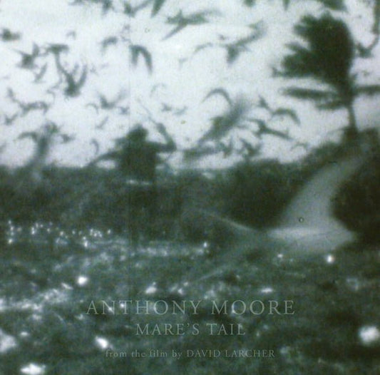 Anthony Moore - Mare's Tail (LP) - Joco Records