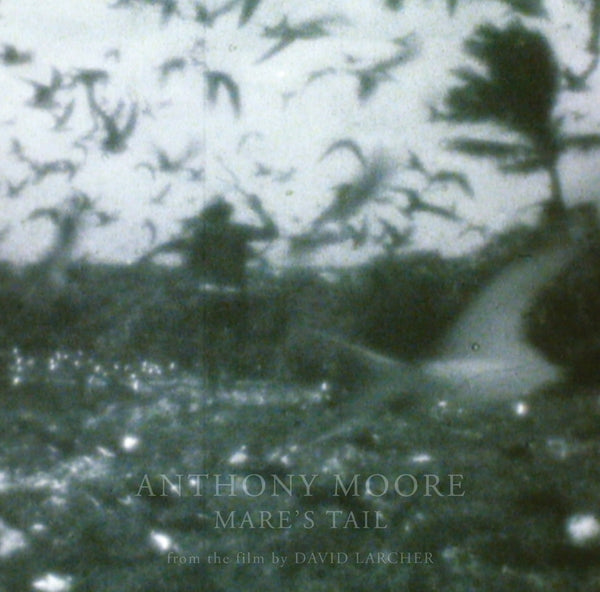 Anthony Moore - Mare's Tail