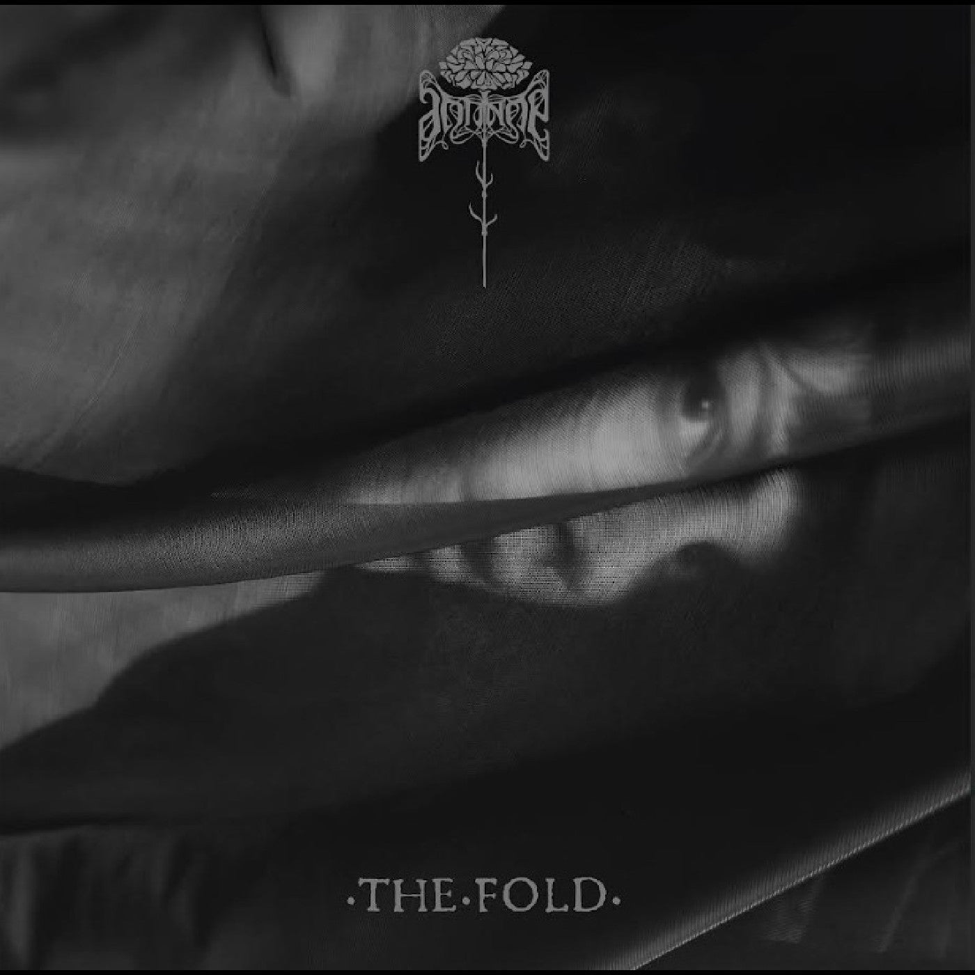 Antinoë - The Fold