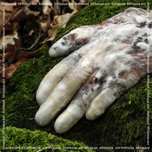 Antwood - Virtuous.Scr (2 LP) - Joco Records