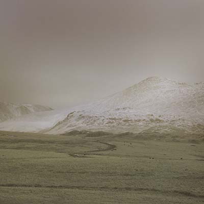 Ar - Wolf Notes (LP) - Joco Records