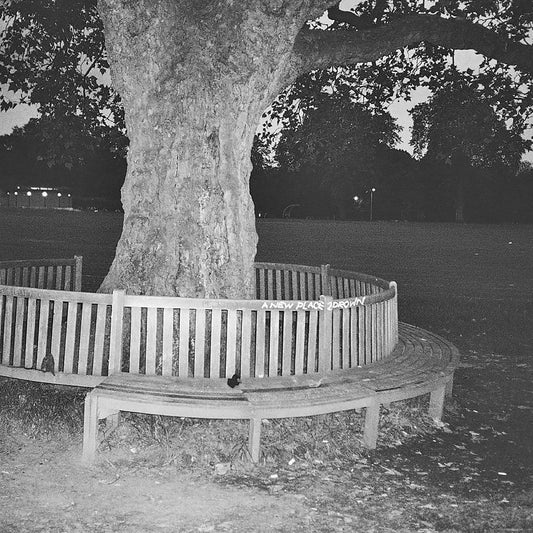 Archy Marshall - A New Place 2 Drown (Instrumentals) (LP) - Joco Records