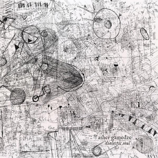 Asher Gamedze - Dialectic Soul (Limited Edition, Clear Vinyl) (2 LP) - Joco Records