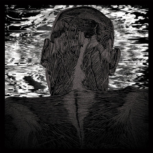 Asher Levitas - Lit Harness (LP) - Joco Records
