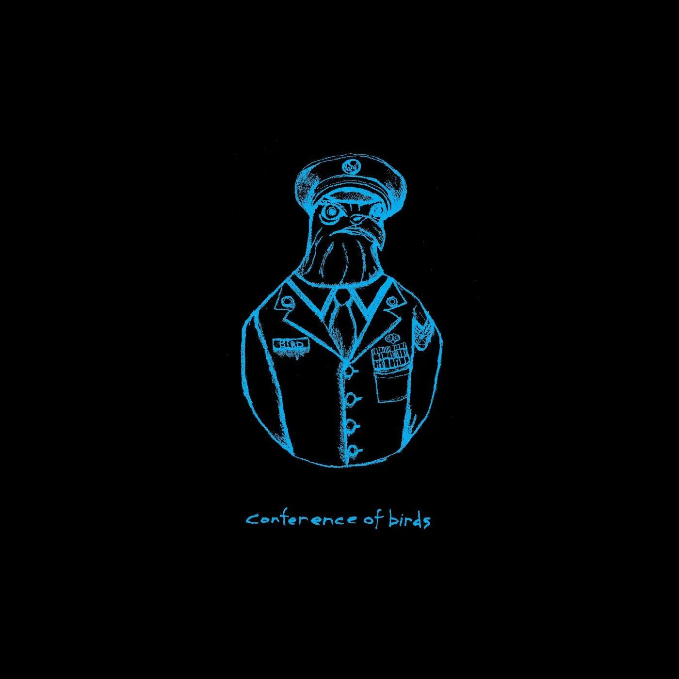Avey Tare - Conference Of Birds / Birds In Disguise (LP) - Joco Records