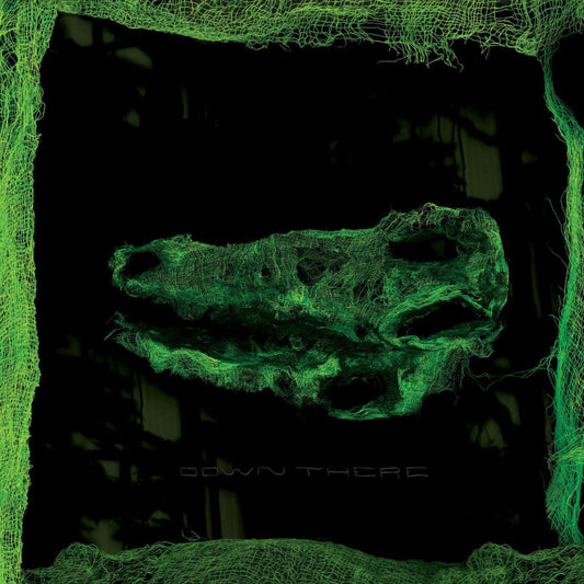 Avey Tare - Down There (LP) - Joco Records