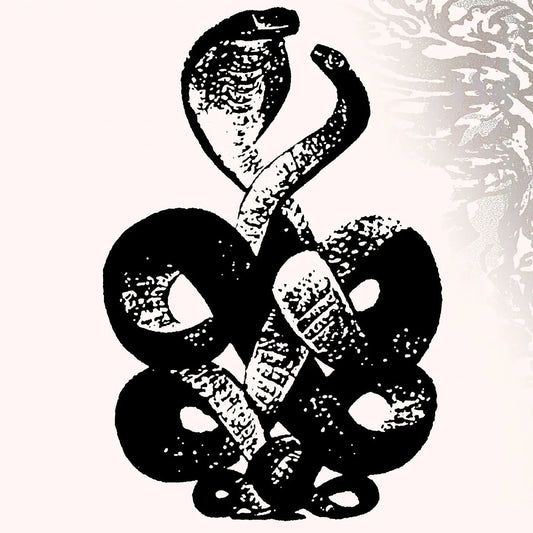 Bardo Pond - Volume 4 & 5 (2 LP) - Joco Records