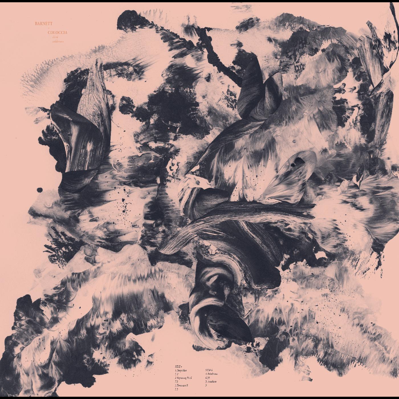 Barnett & Coloccia - Third Wilderness (Tan & Blue/Grey Vinyl) (LP) - Joco Records