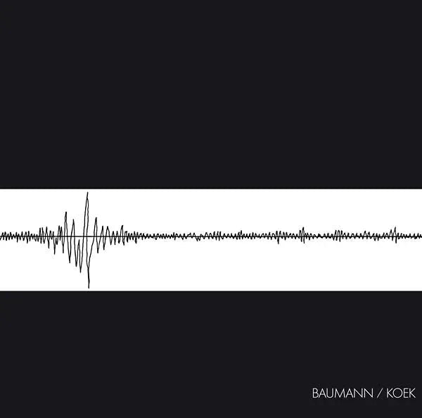 Baumann/Koek - Baumann/Koek (LP) - Joco Records
