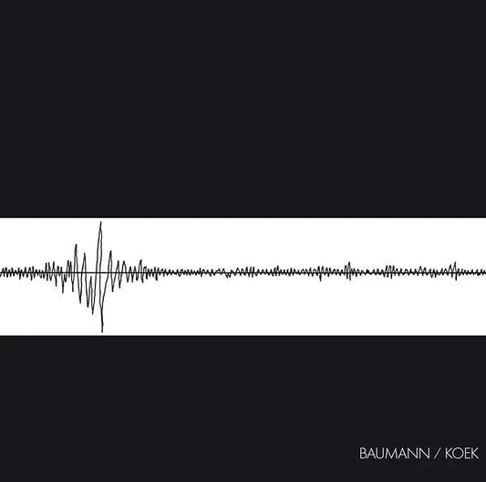 Baumann/Koek - Baumann/Koek (LP) - Joco Records
